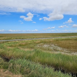 nordsee rundreise 2023_48